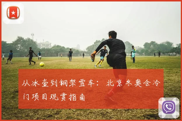 从冰壶到钢架雪车：北京冬奥会冷门项目观赏指南