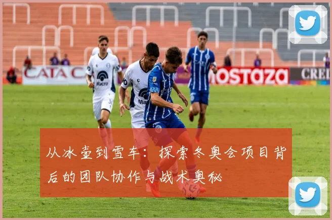 从冰壶到雪车：探索冬奥会项目背后的团队协作与战术奥秘