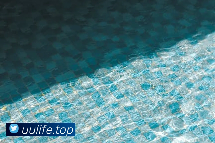 App Interface Preview