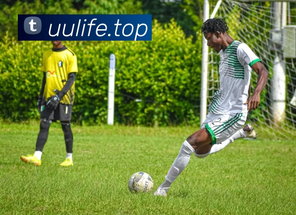 世界杯官网平台APP 封面图